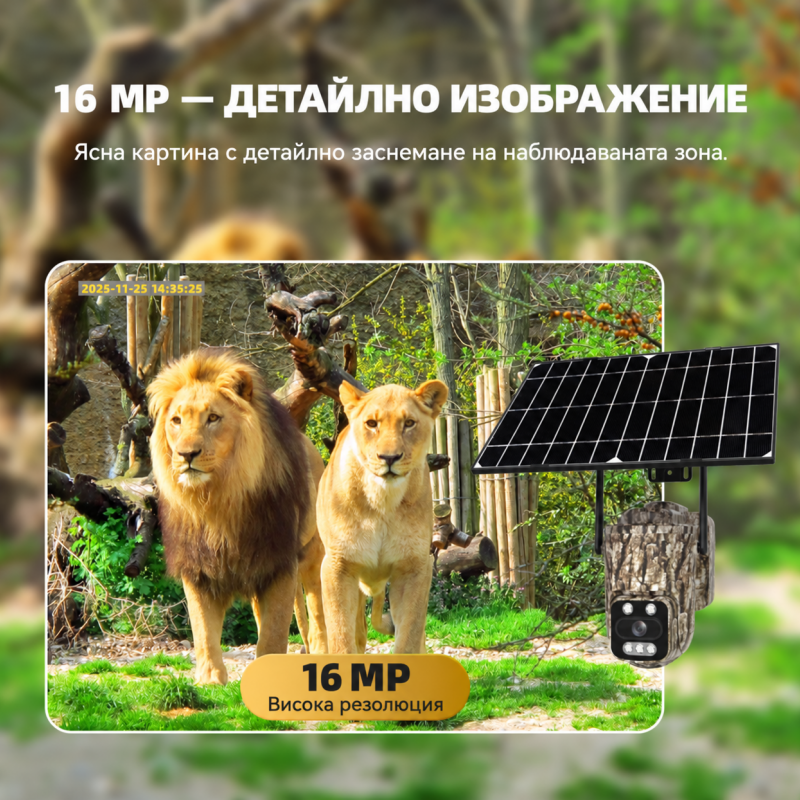 4G СОЛАРНА ЛОВНА КАМЕРА SUNVISION 16MP IP66 + ПОДАРЪК 64GB